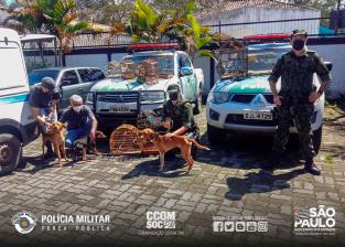 Polícia Militar resgata aves e cães