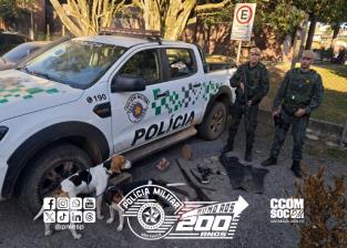 Armas apreendidas em reserva ambiental.