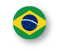 Português - Brasil